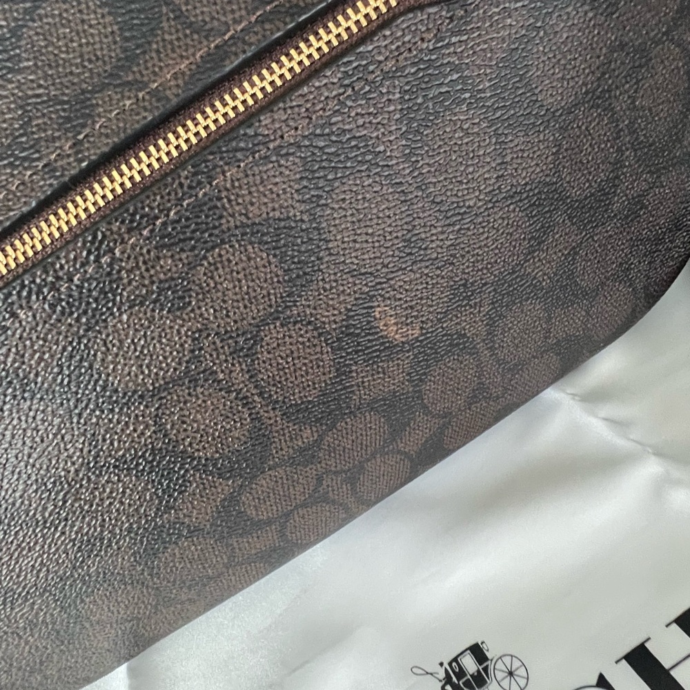 Coach Teri Hobo Bag in Signature Canvas - Picture 6 of 10